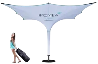 ipomea-simplex I