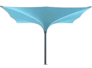 ipomea-sonnenschirm-tulip-trichterschirm-tulpenschirm